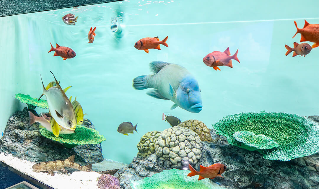 イベントの様子