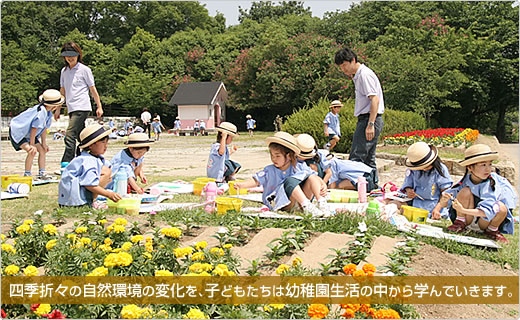 四季折々の自然環境の変化を、こどもたちは幼稚園生活の中から学んでいきます。