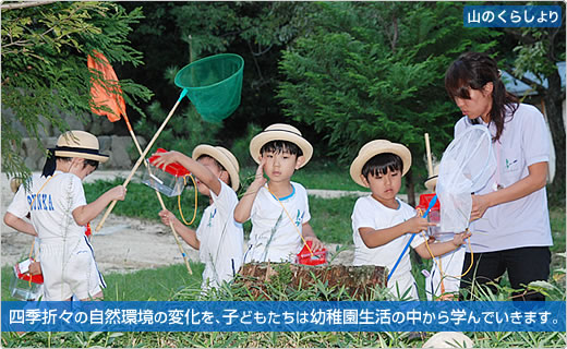 四季折々の自然環境の変化を、子どもたちは幼稚園生活の中から学んでいきます。